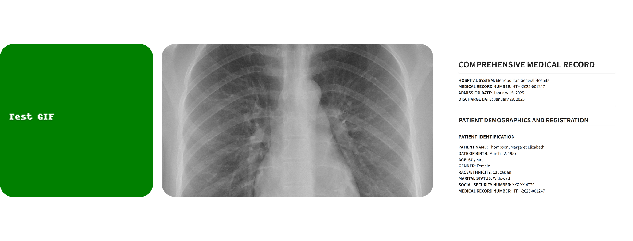 Examples of unusual artifacts embedded in blockchain transactions - medical records, chest X-rays, legal documents, and test images used for systematic testing of file types and encoding methods.