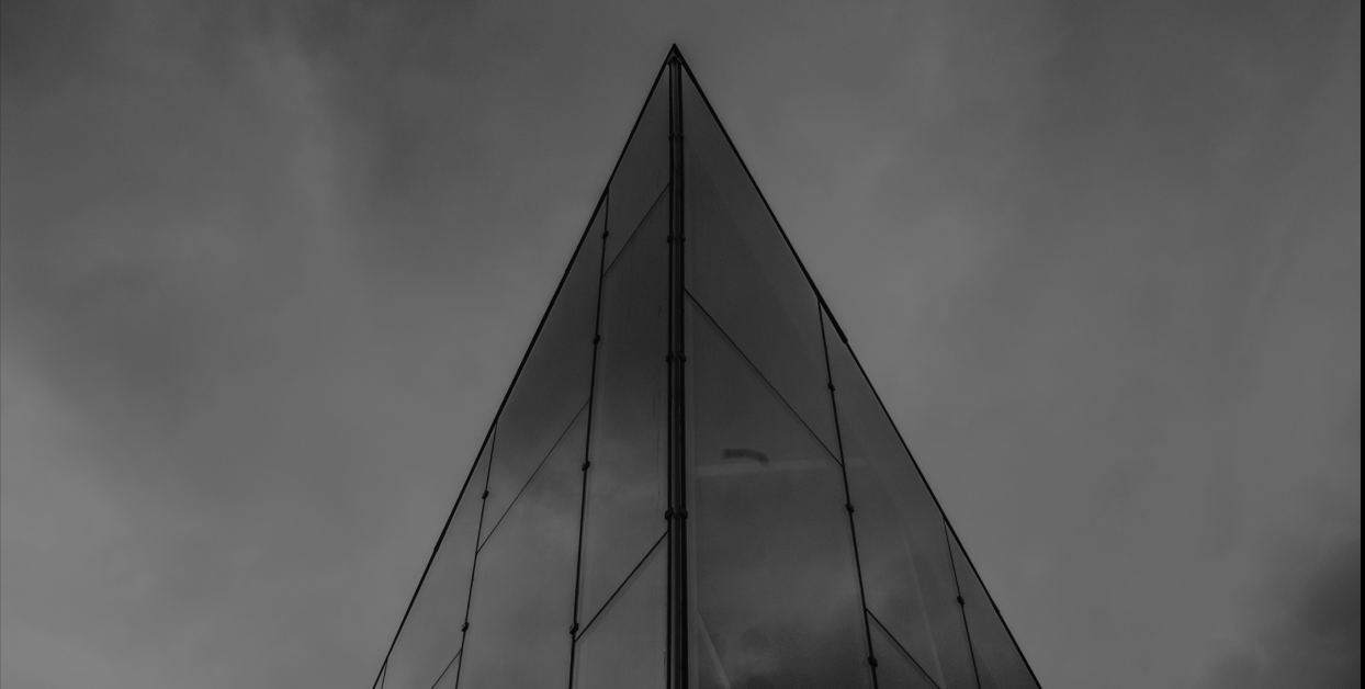 What on-chain data shows about tokenized T-bills