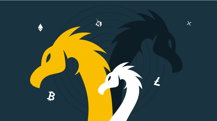 Bitcoin & Darknet 2022: Is OMG!OMG! The New Hydra?