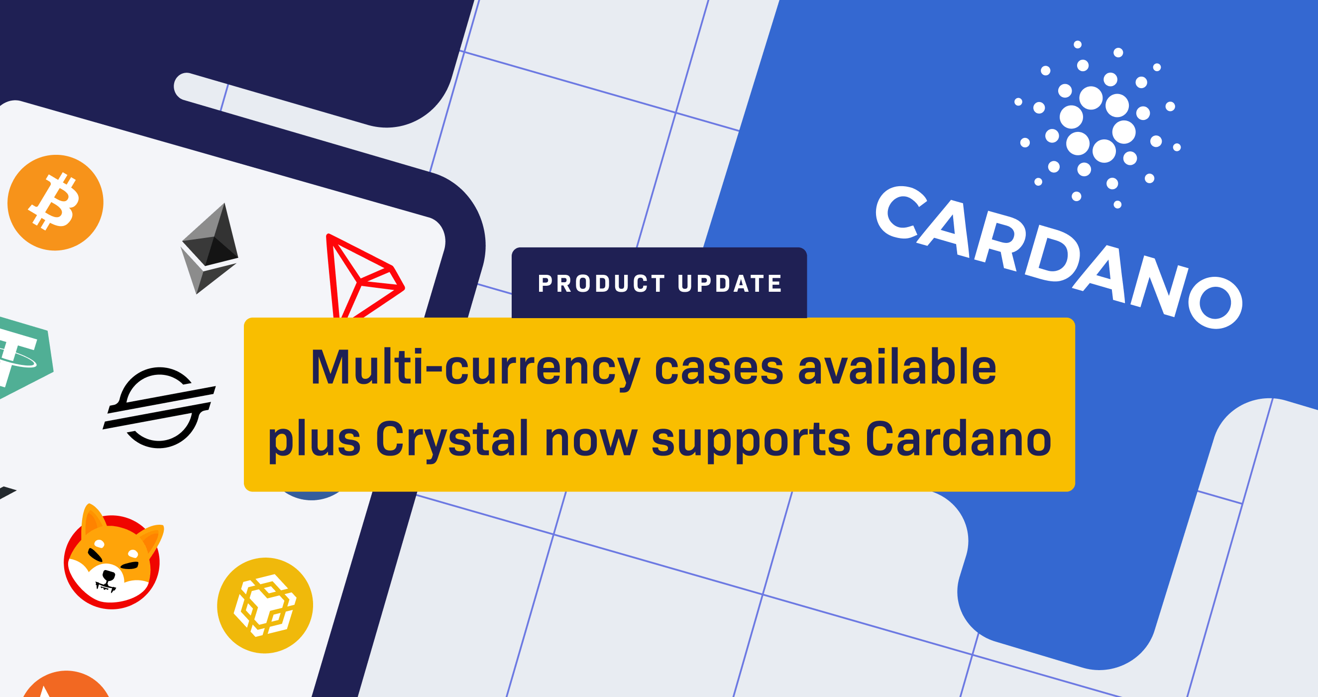 Global Cases & Multi-Chain Alerts