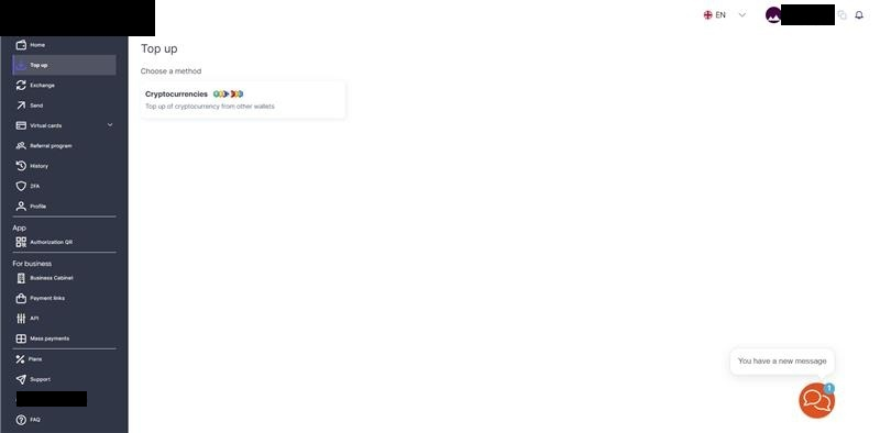 New website Top-up: Screenshot of the platform's current website Top-up menu, showing only a Cryptocurrencies option.  